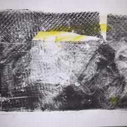 m.wiejak kwarantanna  quarantine monotypia _format 21x14
